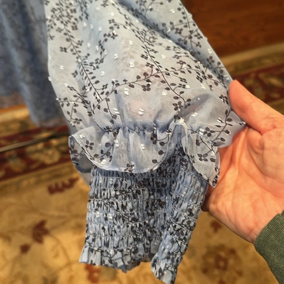 Draper James Swiss Dot Blue Shift Dress. Size XL - Picture 3 of 6